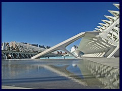 El Museu de les Ciències Príncipe Felipe, an interactive science museum with impressive architecture that resembles the skeleton of a whale and covers 40,000 m². This is the most massive of the structures and is situated in the center of the science area, 220m long, 80m wide and 55 m high. It opened in 2000 and was designed by Calatrava. It is surrounded by part of the Turia Gardens.